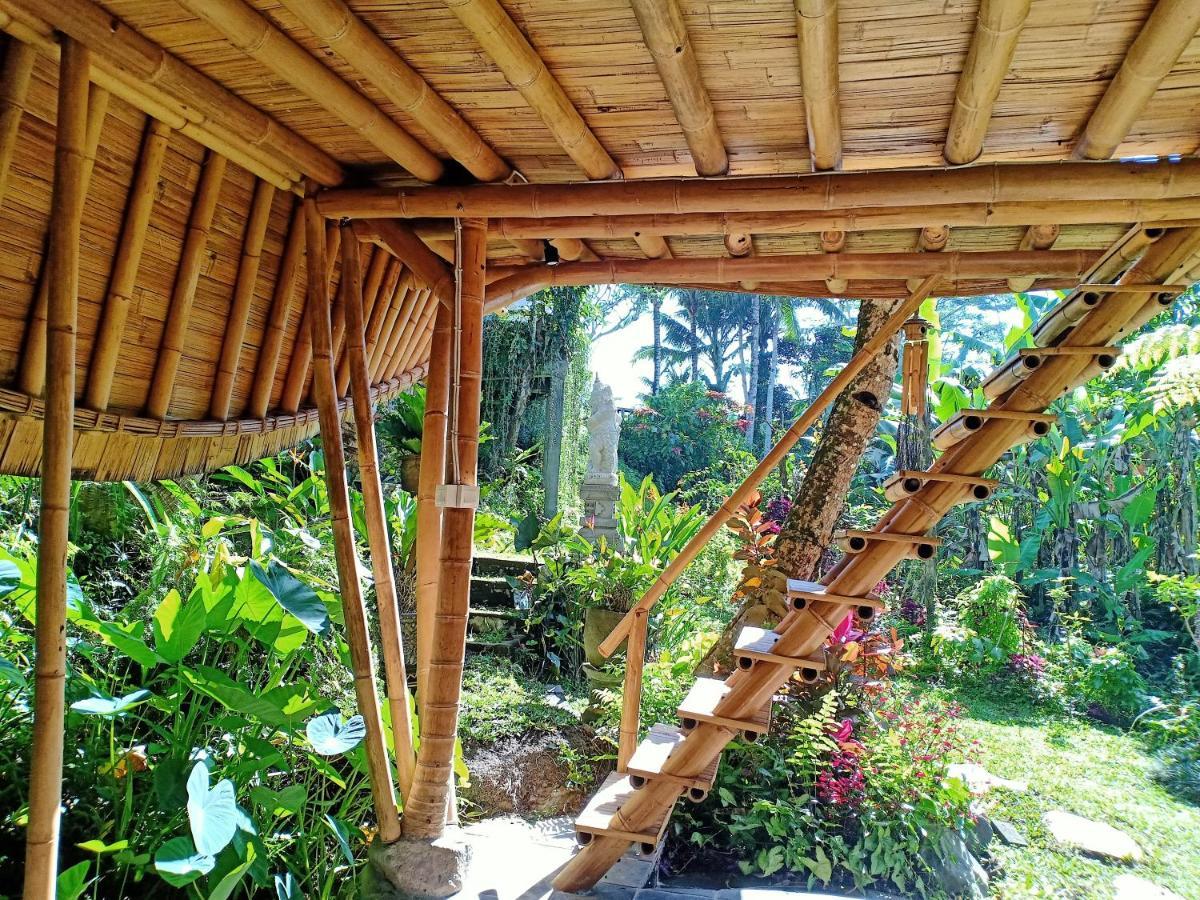 Jero Tumbuk Private Villa Selat Exteriér fotografie