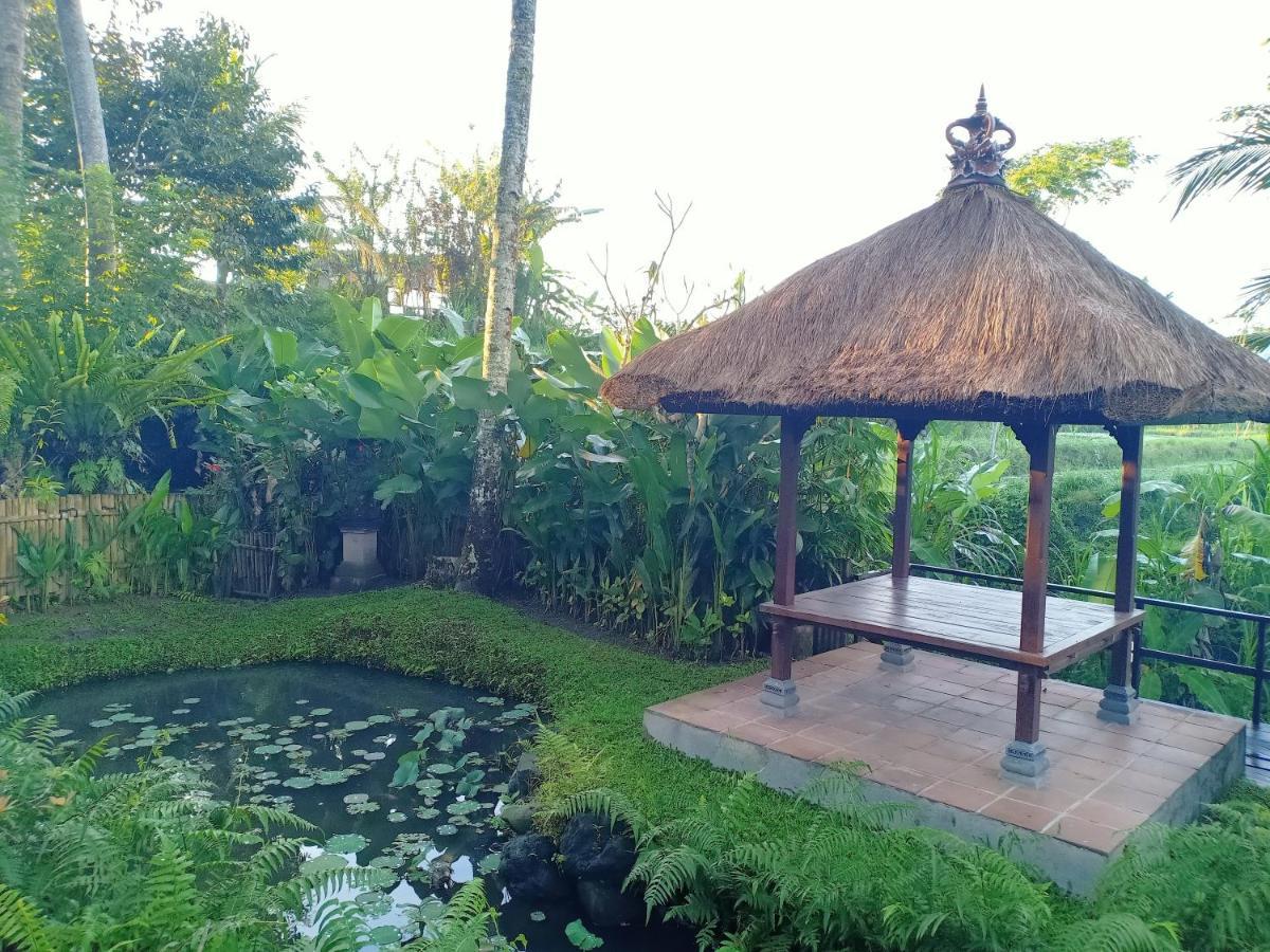 Jero Tumbuk Private Villa Selat Exteriér fotografie