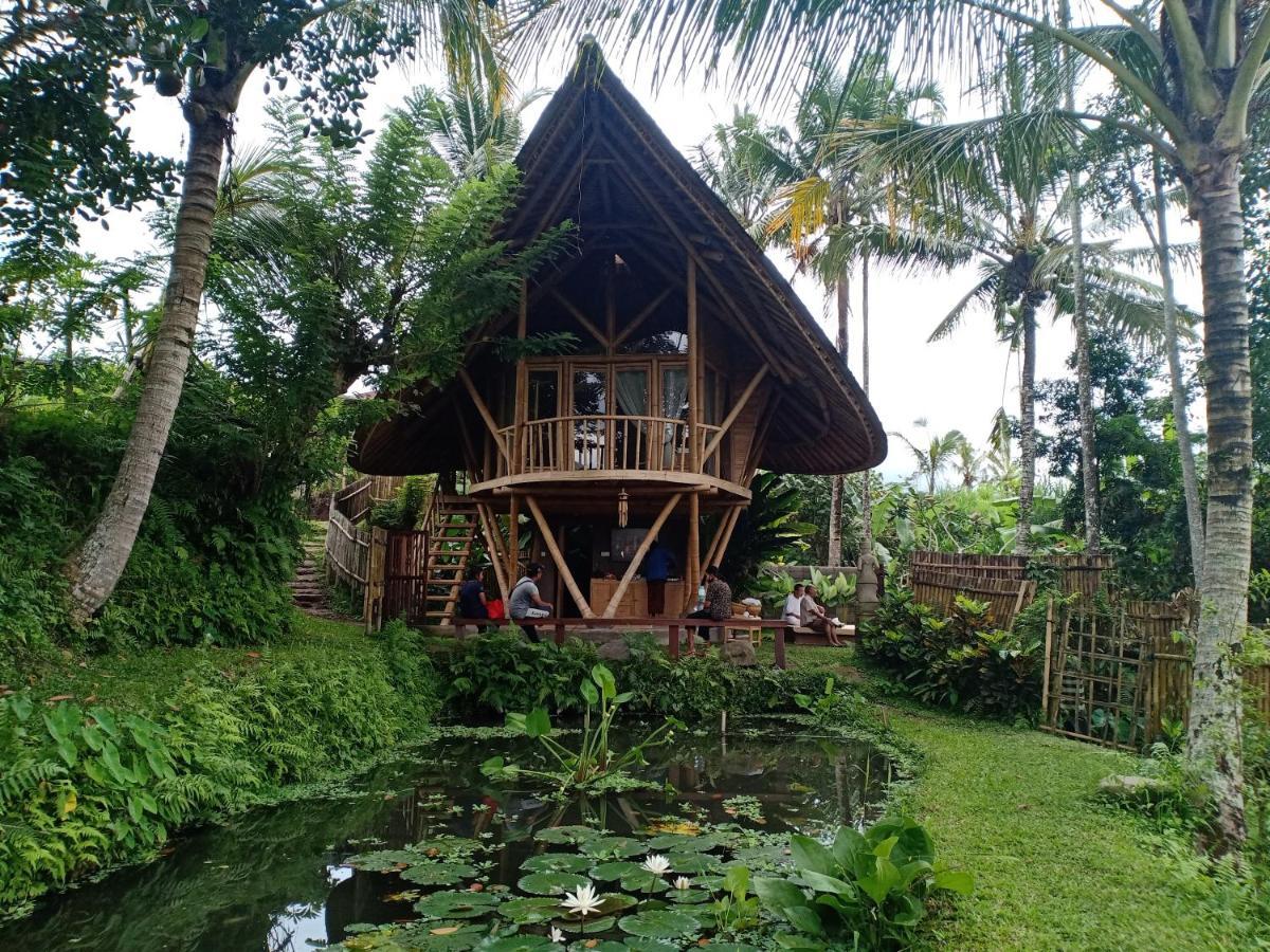 Jero Tumbuk Private Villa Selat Exteriér fotografie