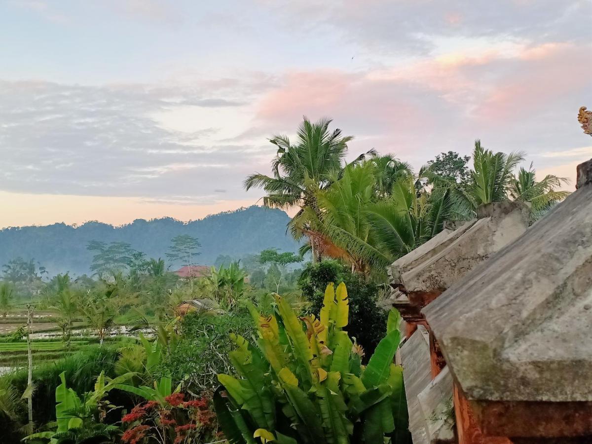 Jero Tumbuk Private Villa Selat Exteriér fotografie