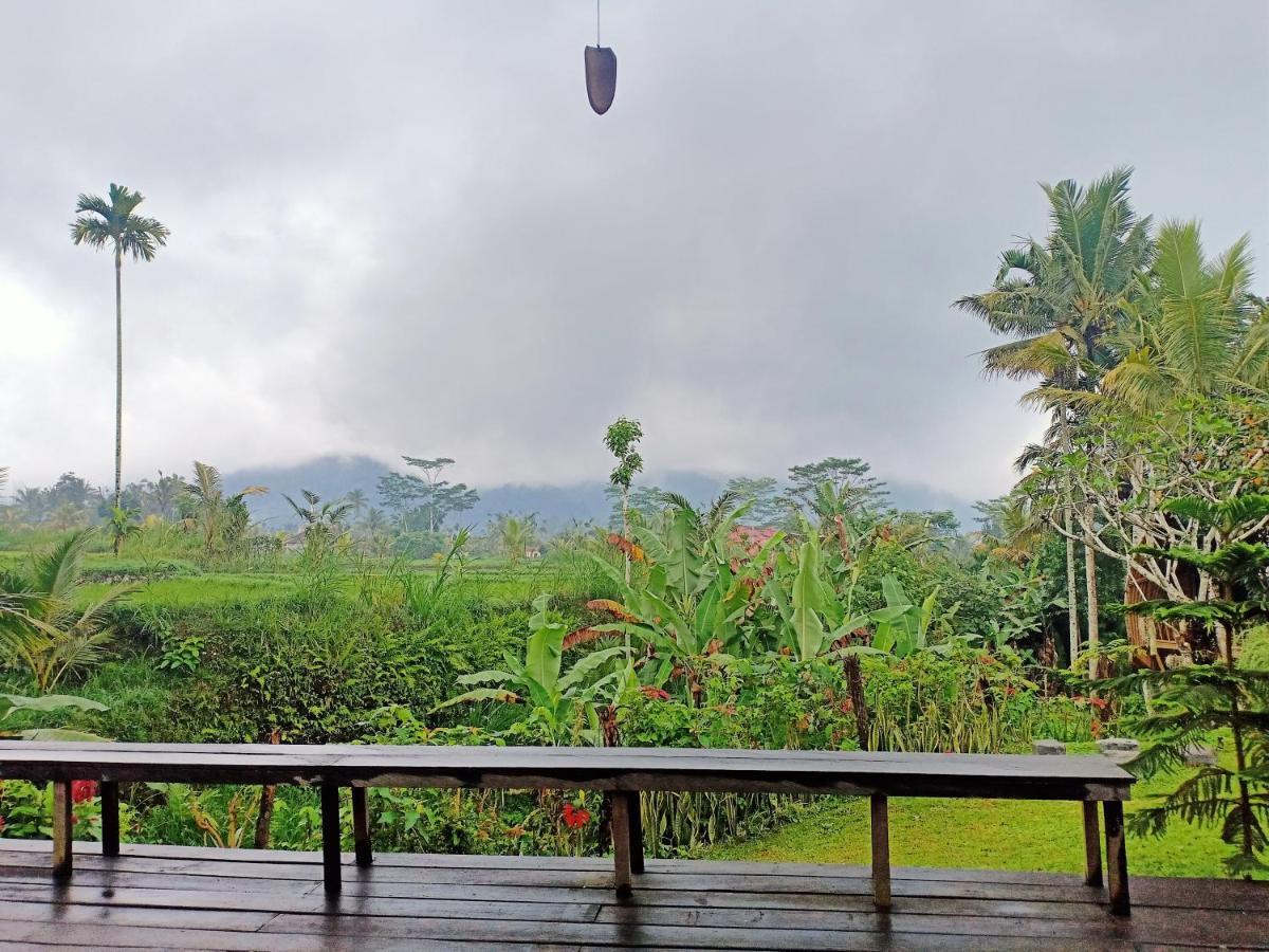 Jero Tumbuk Private Villa Selat Exteriér fotografie