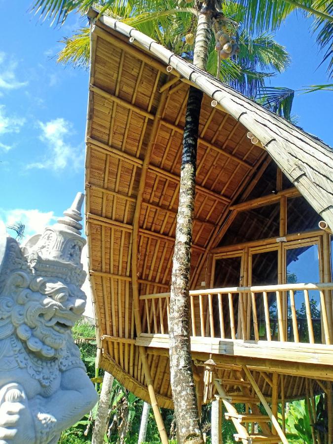 Jero Tumbuk Private Villa Selat Exteriér fotografie