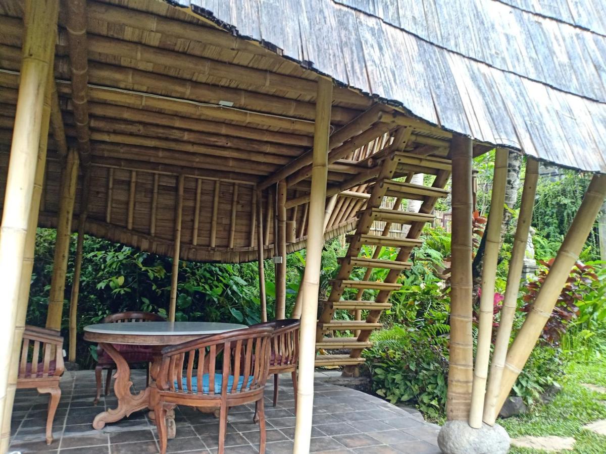 Jero Tumbuk Private Villa Selat Exteriér fotografie