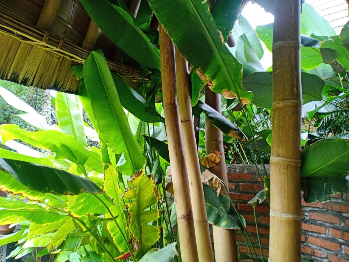 Jero Tumbuk Private Villa Selat Exteriér fotografie
