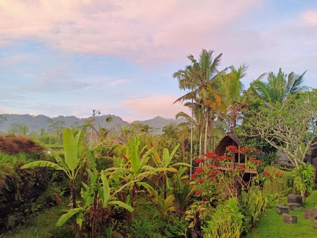 Jero Tumbuk Private Villa Selat Exteriér fotografie