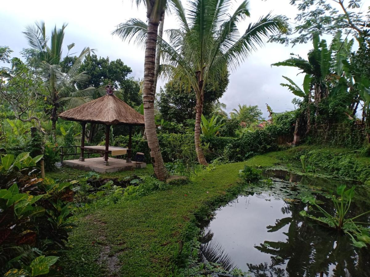 Jero Tumbuk Private Villa Selat Exteriér fotografie