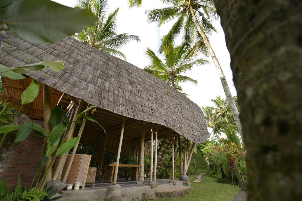 Jero Tumbuk Private Villa Selat Exteriér fotografie