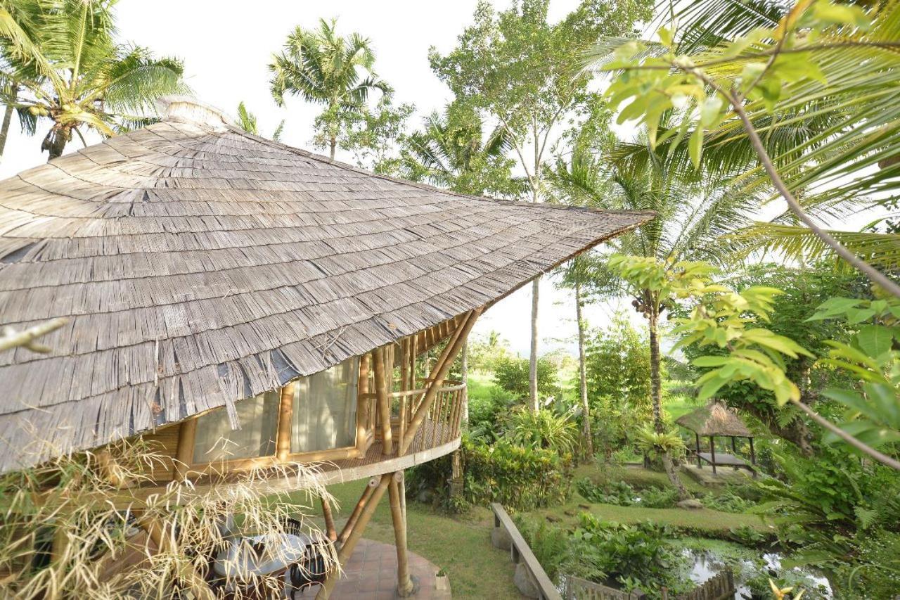 Jero Tumbuk Private Villa Selat Exteriér fotografie