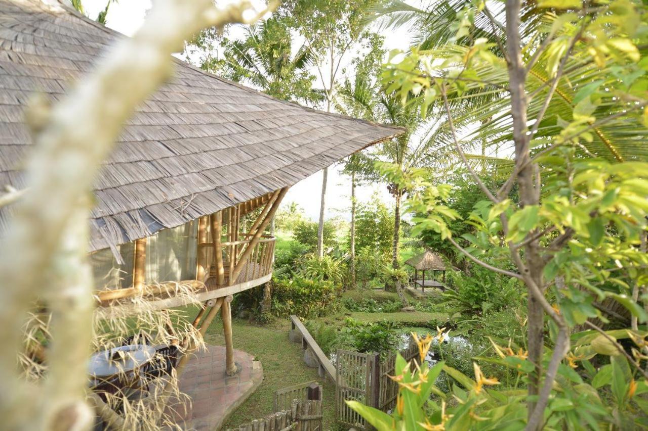 Jero Tumbuk Private Villa Selat Exteriér fotografie