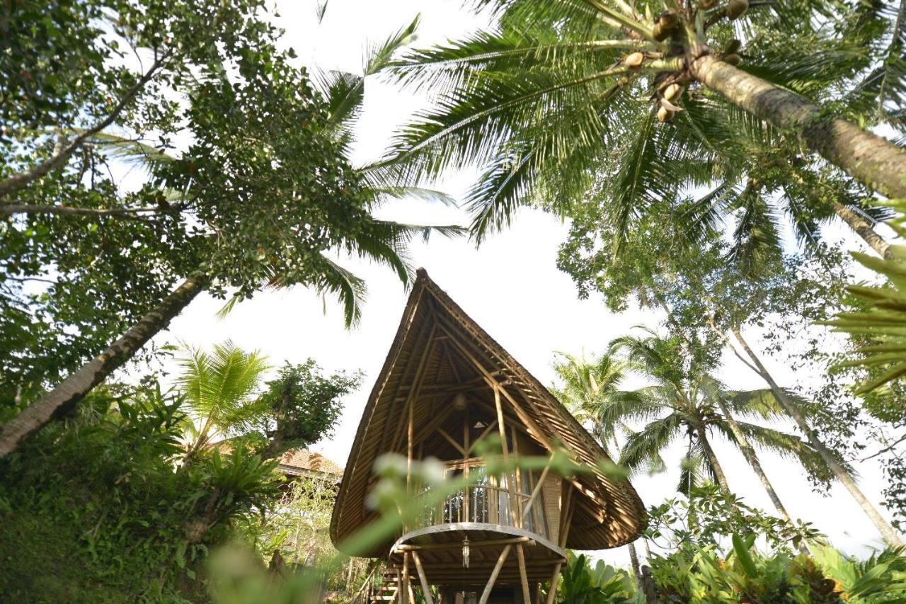 Jero Tumbuk Private Villa Selat Exteriér fotografie