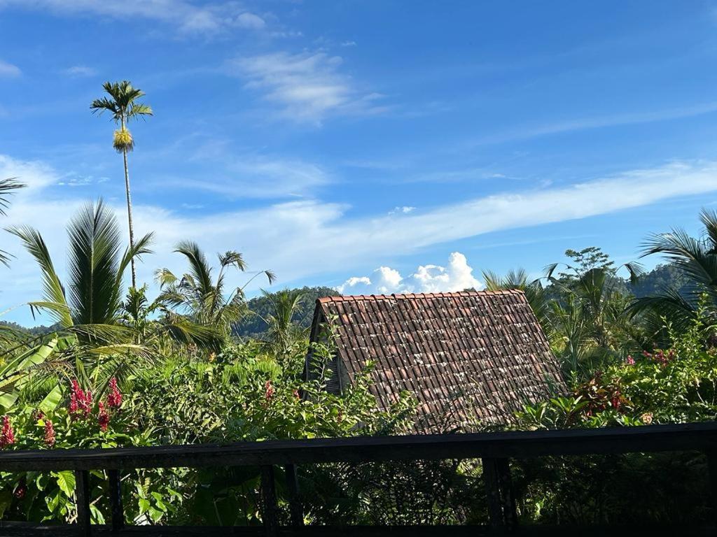 Jero Tumbuk Private Villa Selat Exteriér fotografie