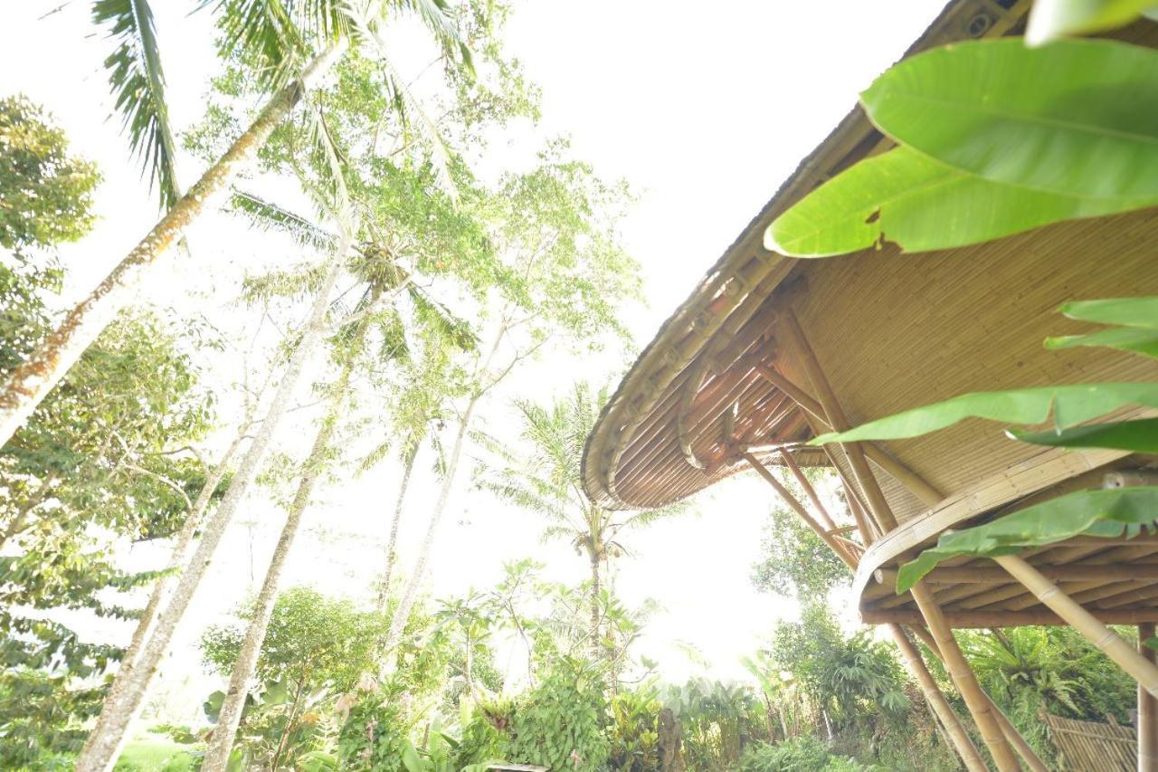 Jero Tumbuk Private Villa Selat Exteriér fotografie