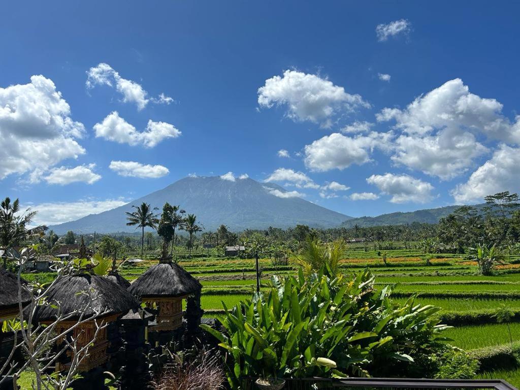 Jero Tumbuk Private Villa Selat Exteriér fotografie